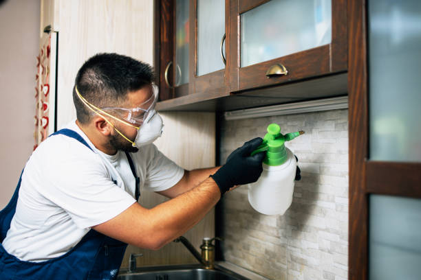 Best Wasp Removal Services  in Pinehurst, NC