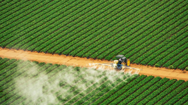 Best Pest Prevention Services  in Pinehurst, NC