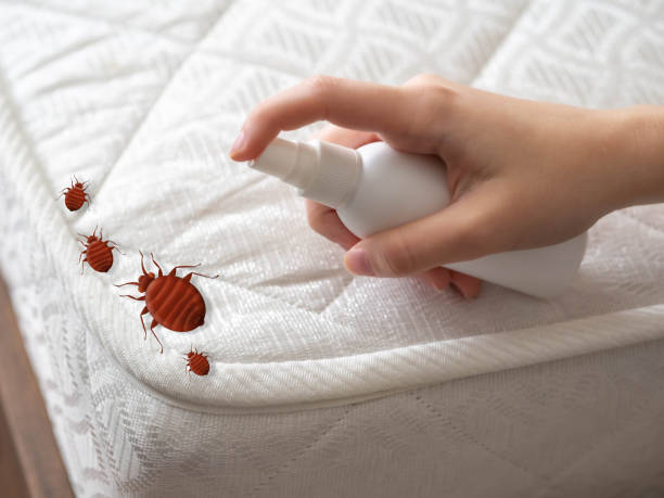 Best Pest Removal Services  in Pinehurst, NC